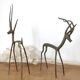 Duo of african brass gazelles