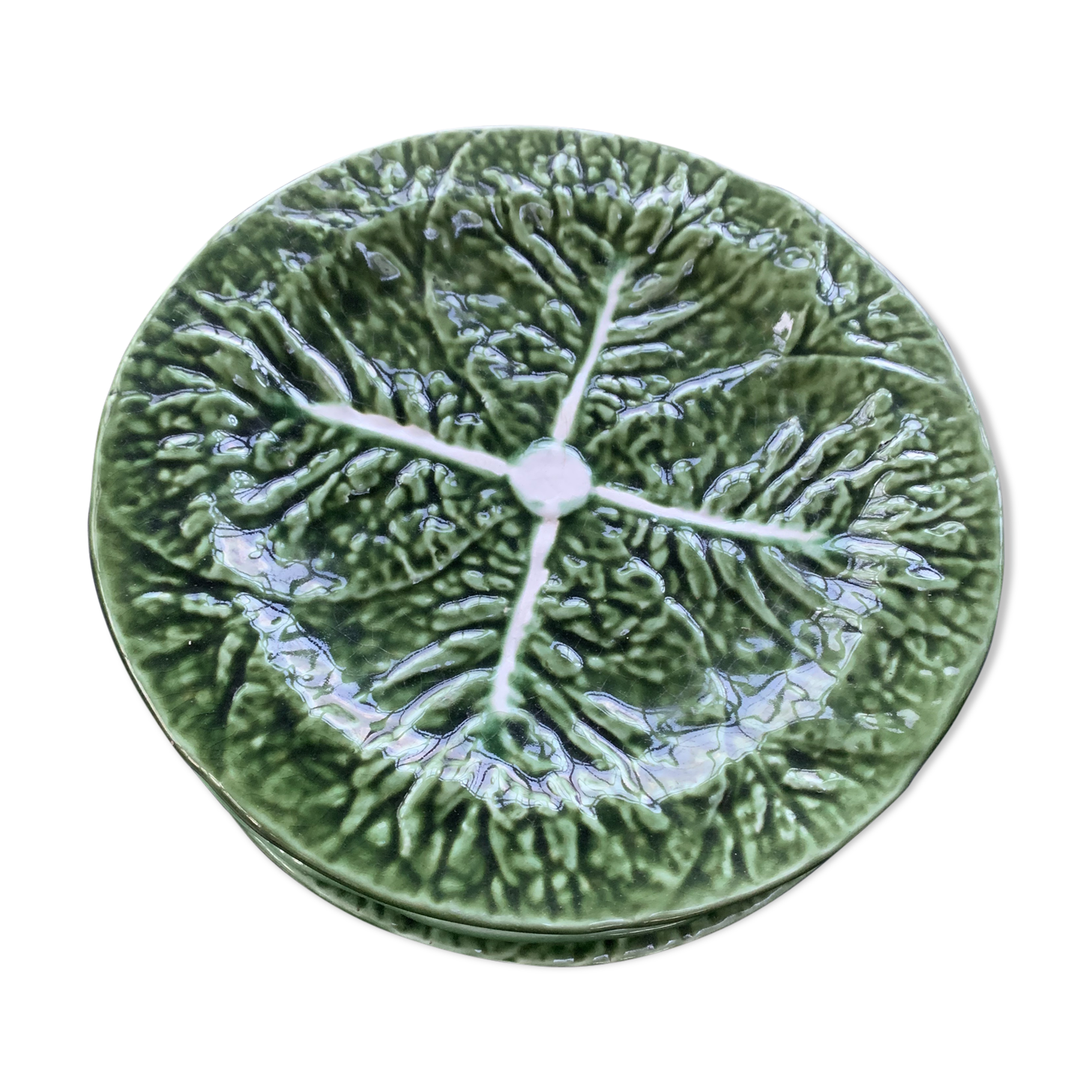 Lot of 6 plates cabbage leaf dabbling