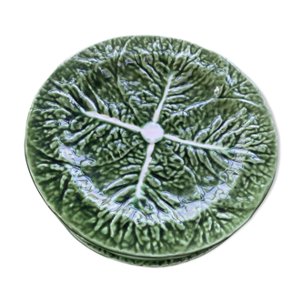 Lot of 6 plates cabbage leaf dabbling