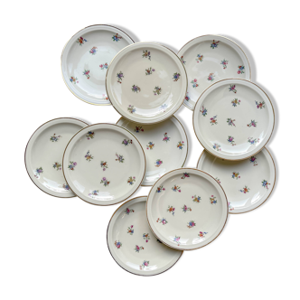 10 Small Vintage Floral Porcelain Plates – Limoges Haviland