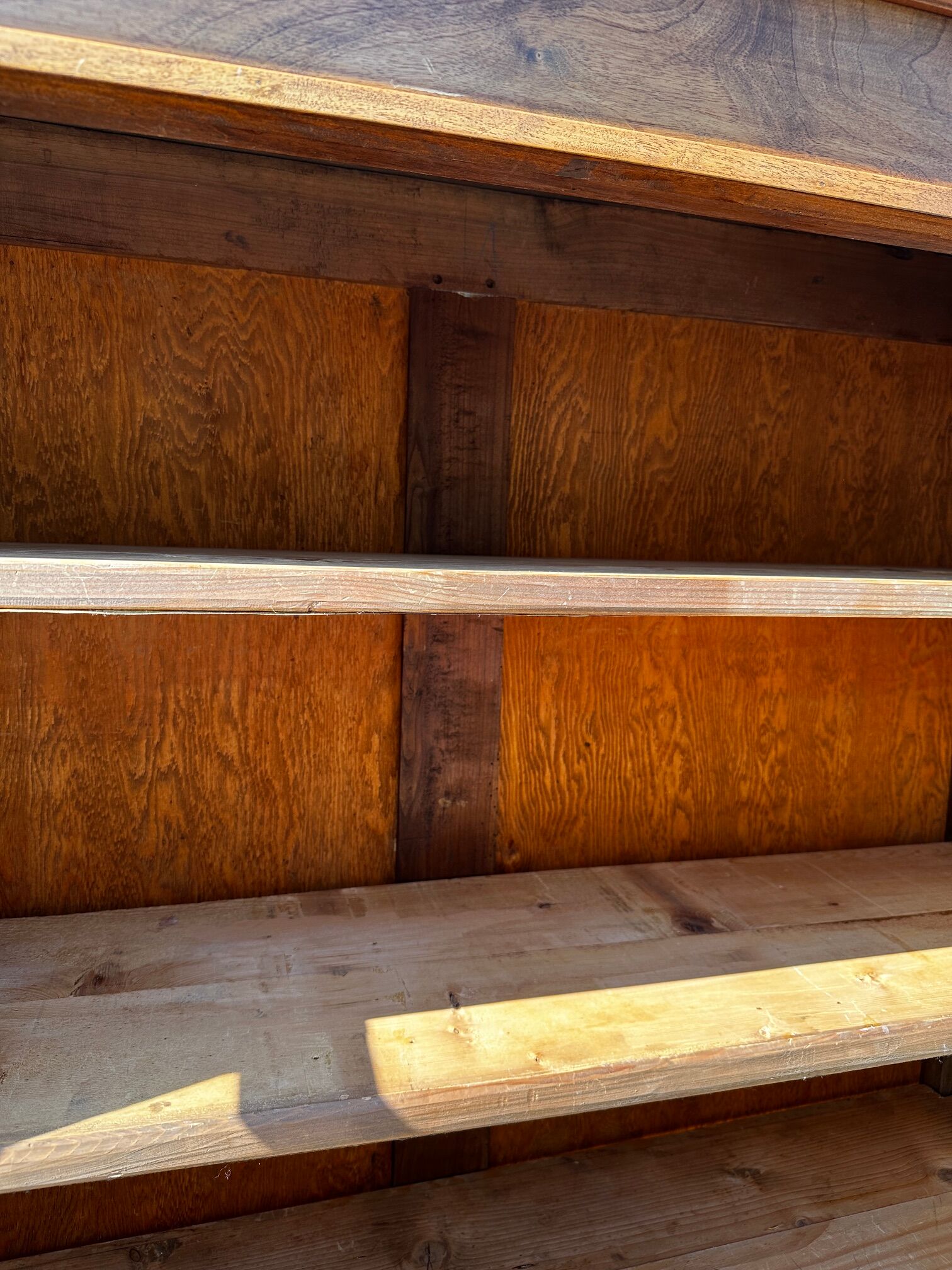 Walnut display cabinet