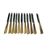 Set of 12 large knives and 11 horn and steel dessert knives