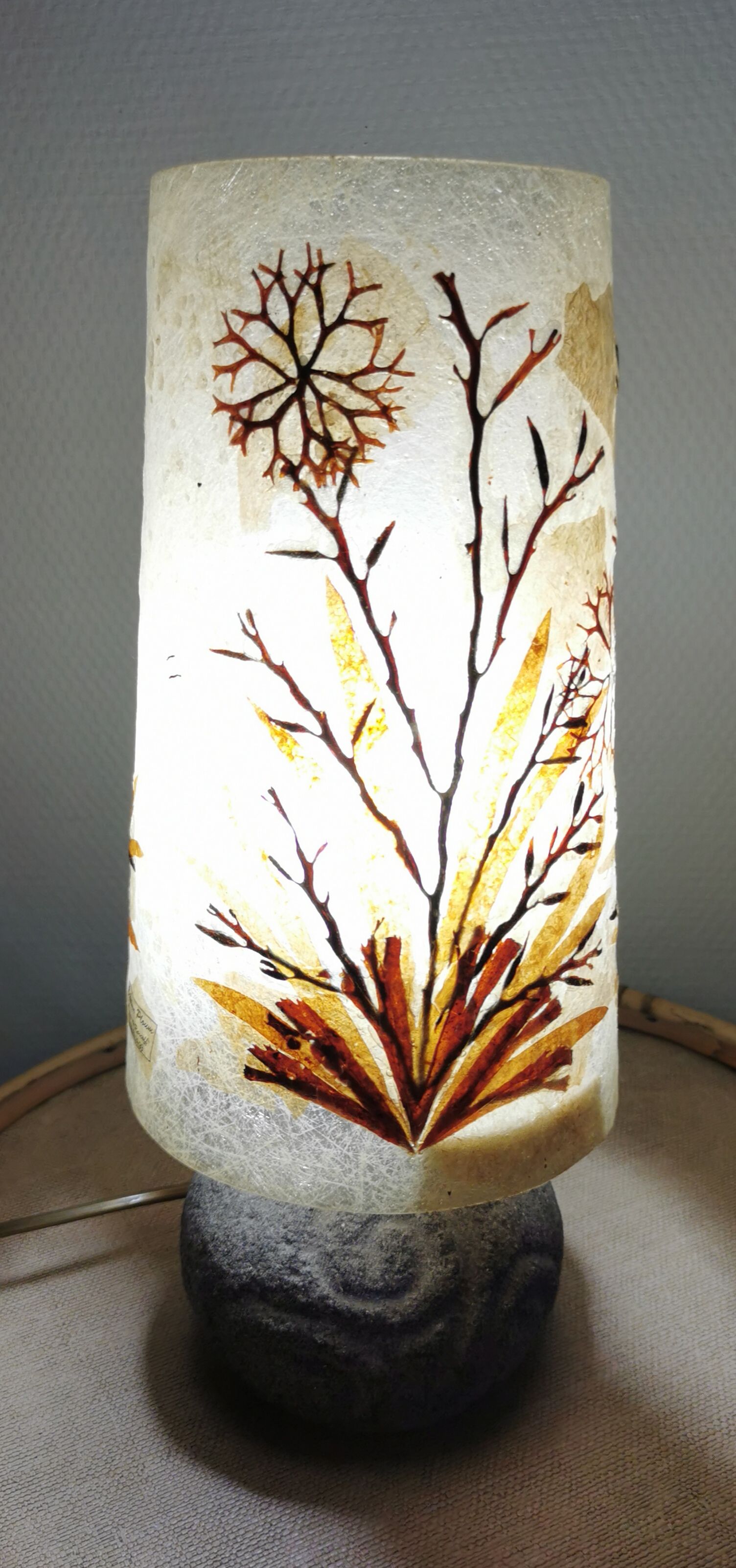 Stone and seaweed herbarium lamp