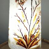 Lampe herbier pierre et algues