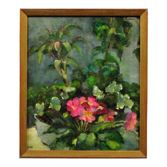Diana maxwell's painting armfield b.1920. english. pink primulas & pot plants.