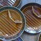 Set of 5 asparagus plates 1 dish Sarreguemines L1 / 200106