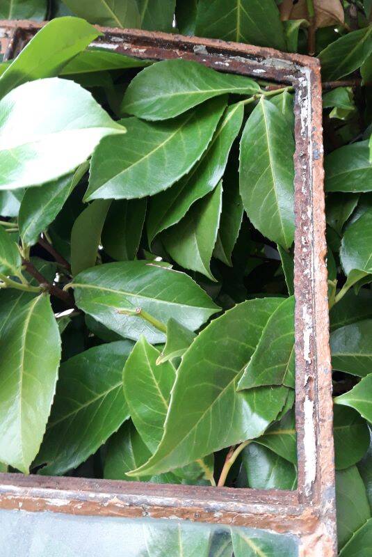 Industrial arched metal windows L73xH110 19th century glass roof