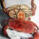 Hélène Besnard-Giraudias crabs (1906-2003)