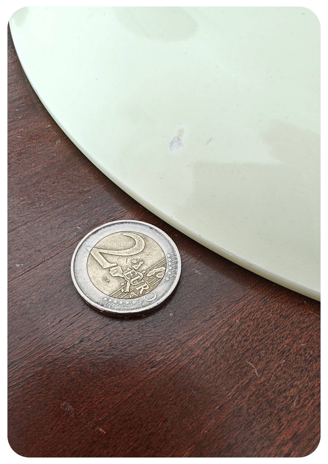 Grand plat Anemone Salins France