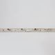 Industrial White Wall Mounted Coat Rack in Wood, Belgium, 1920s