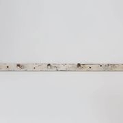 Industrial White Wall Mounted Coat Rack in Wood, Belgium, 1920s