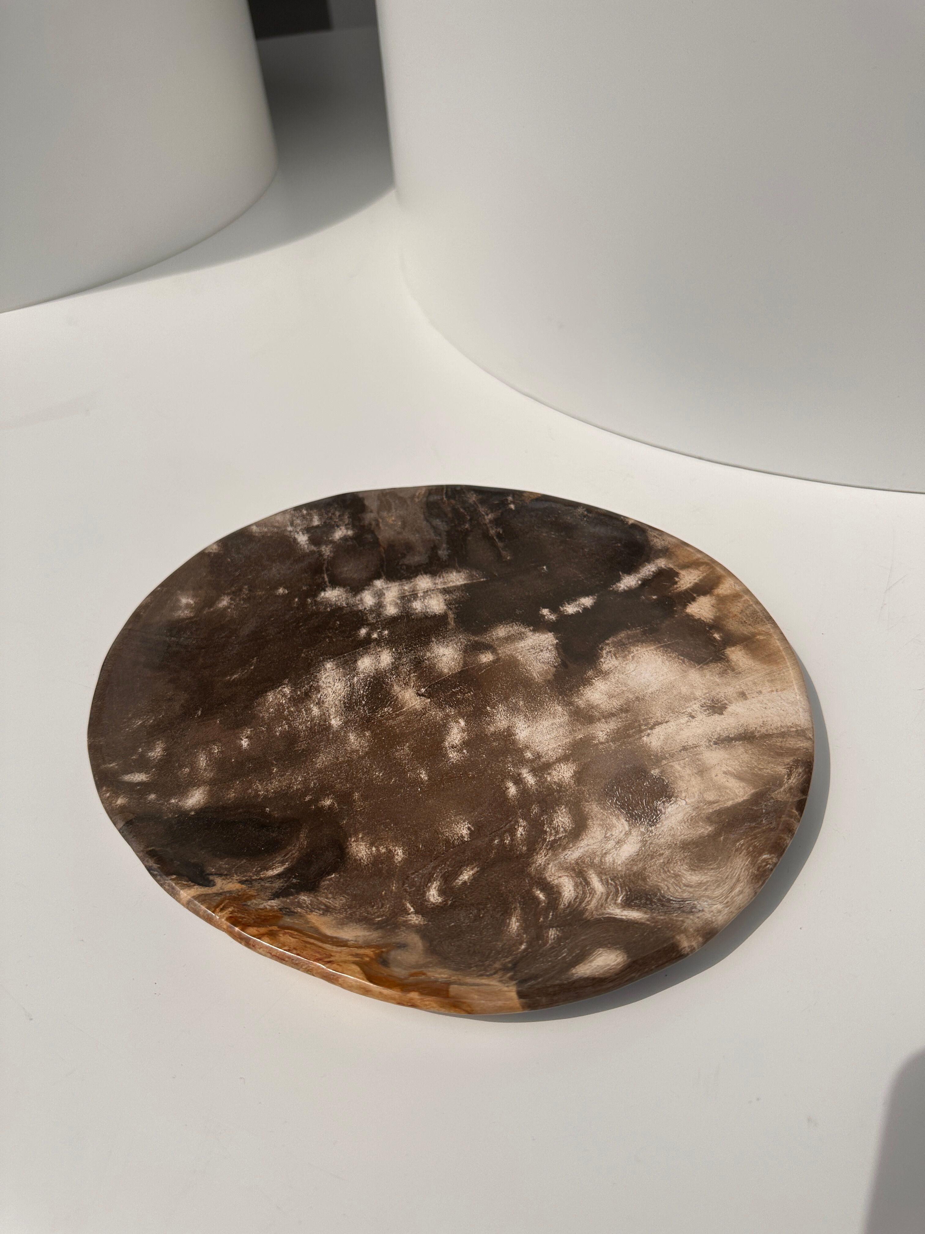 Dish in petrified wood