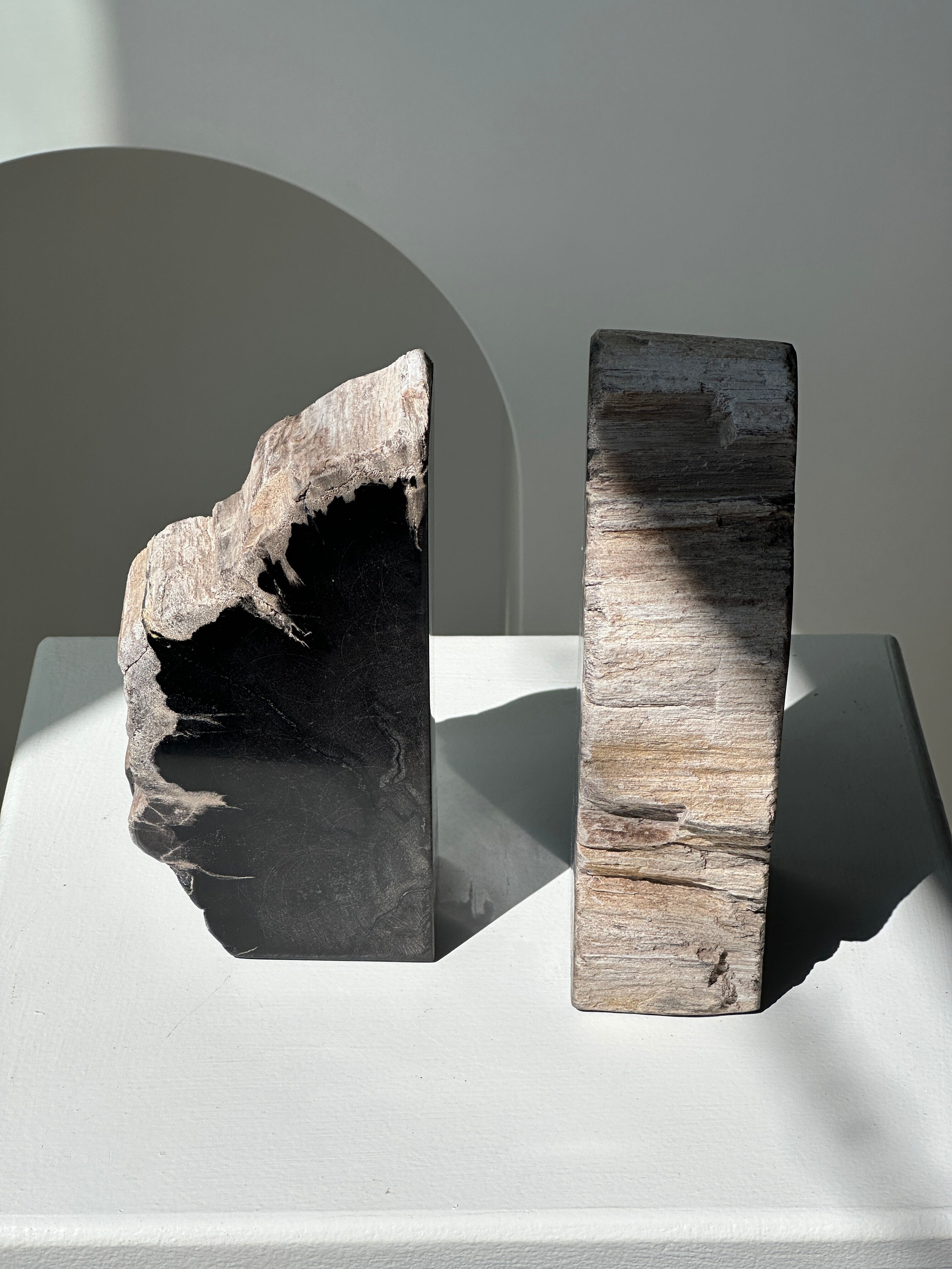 Black petrified wood bookend H17 L17 P6