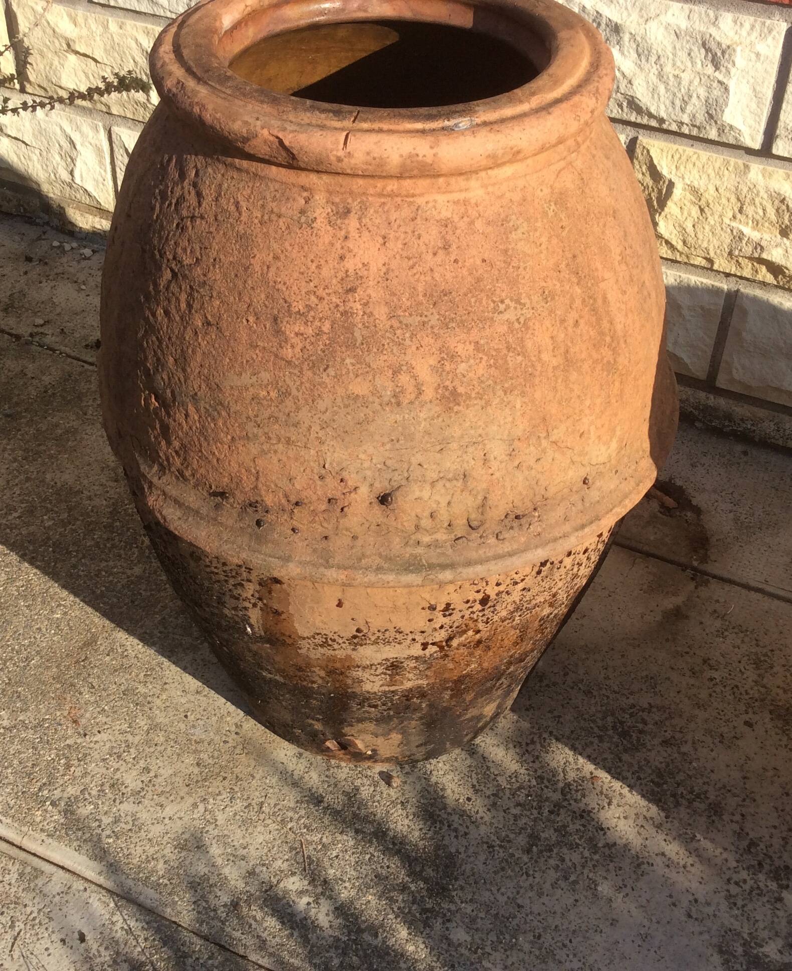 Ancient Orcio dà olio italiano