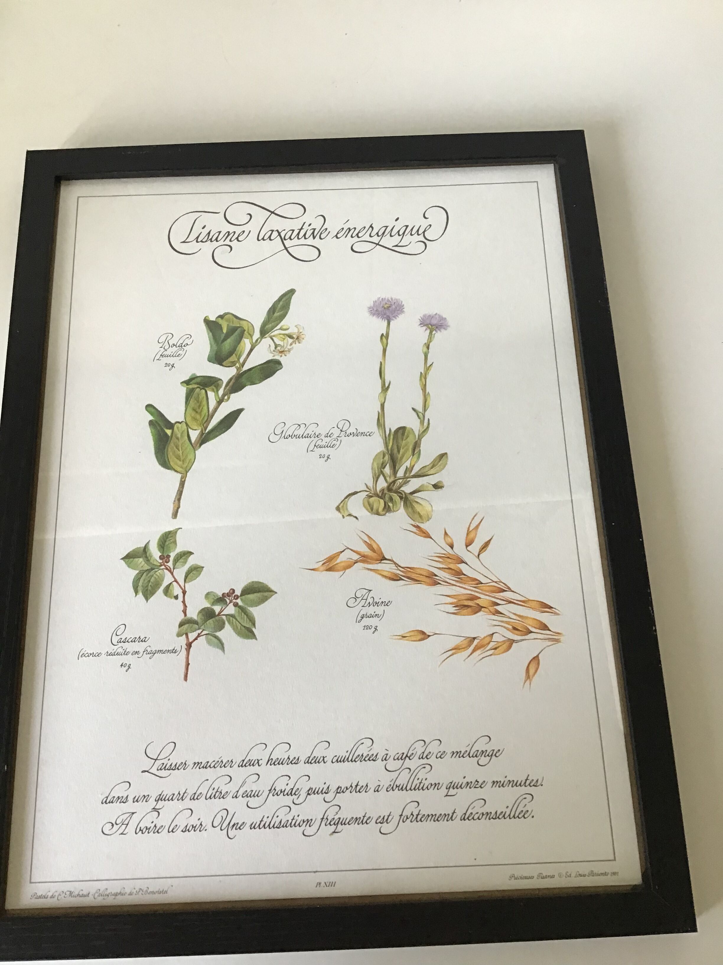 Gravure botanique précieuses tisanes encadree