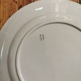 Blue Badonviller retro plates