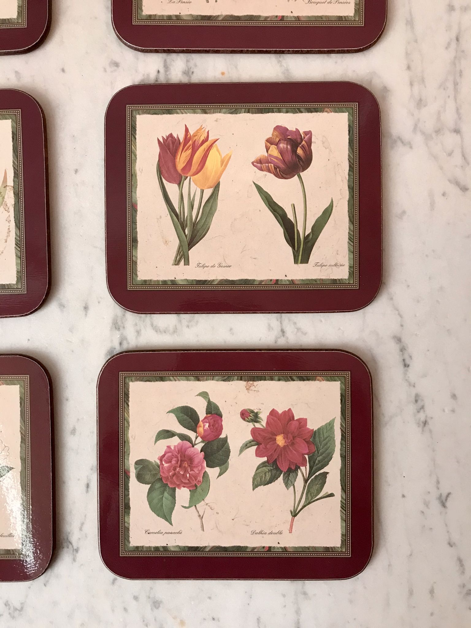 6 coasters Jason Coasters flowers Made in New Zealand (1963)