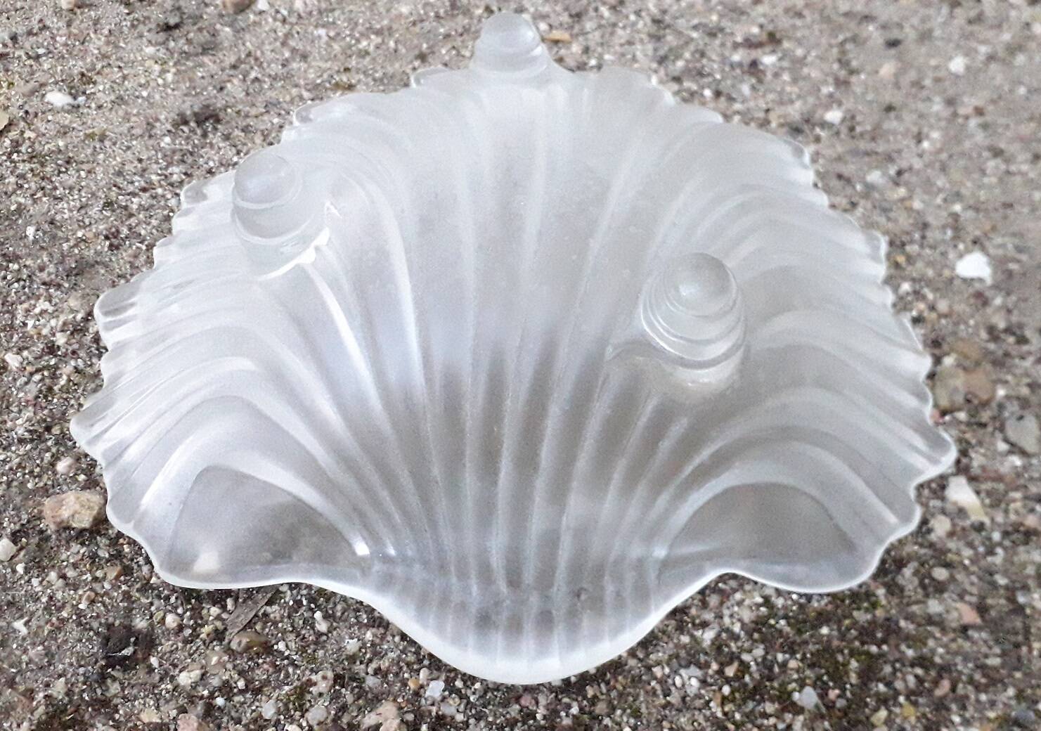 Seashell trinket tray