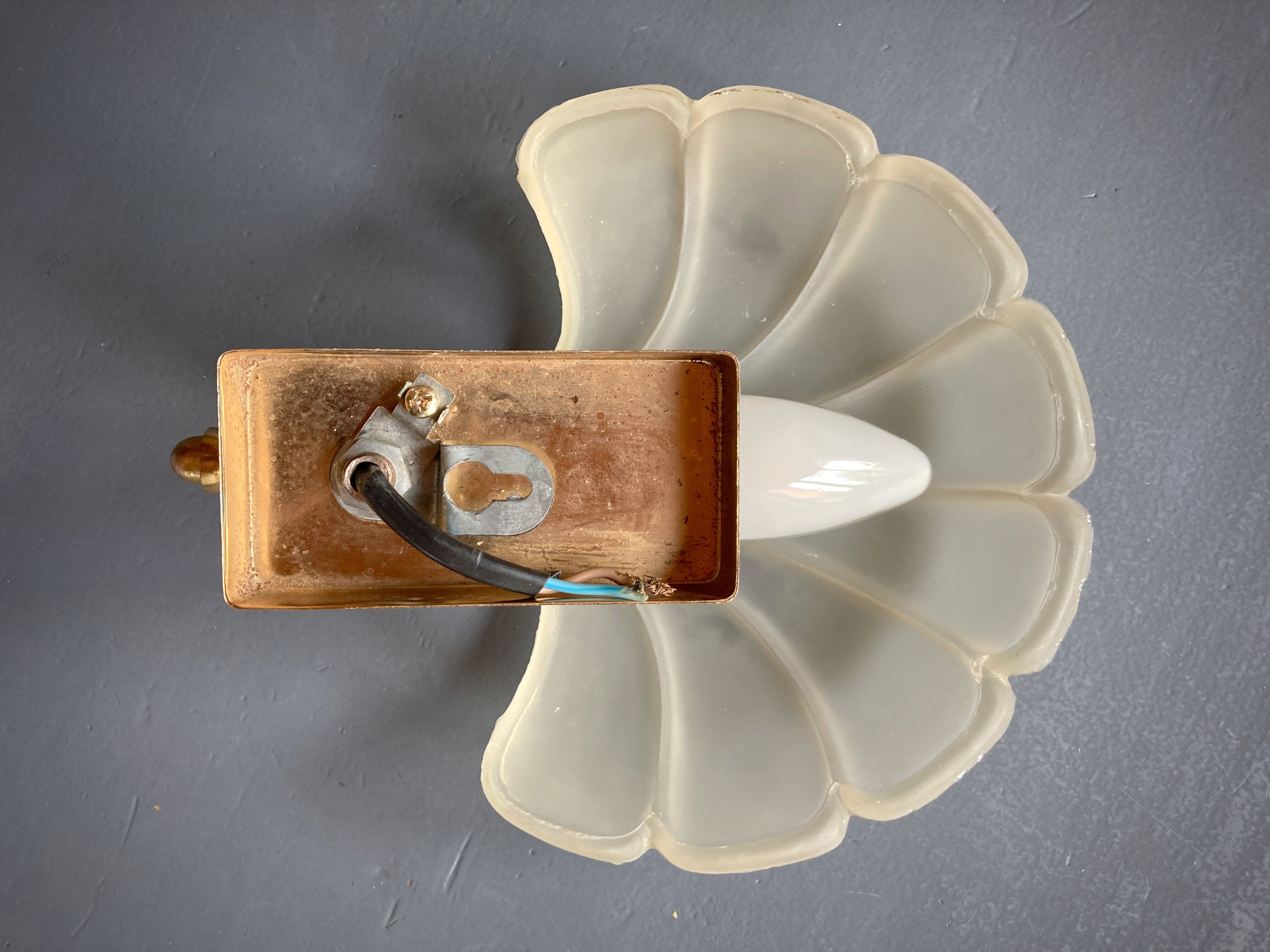 Frosted glass shell wall lamps