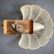 Frosted glass shell wall lamps