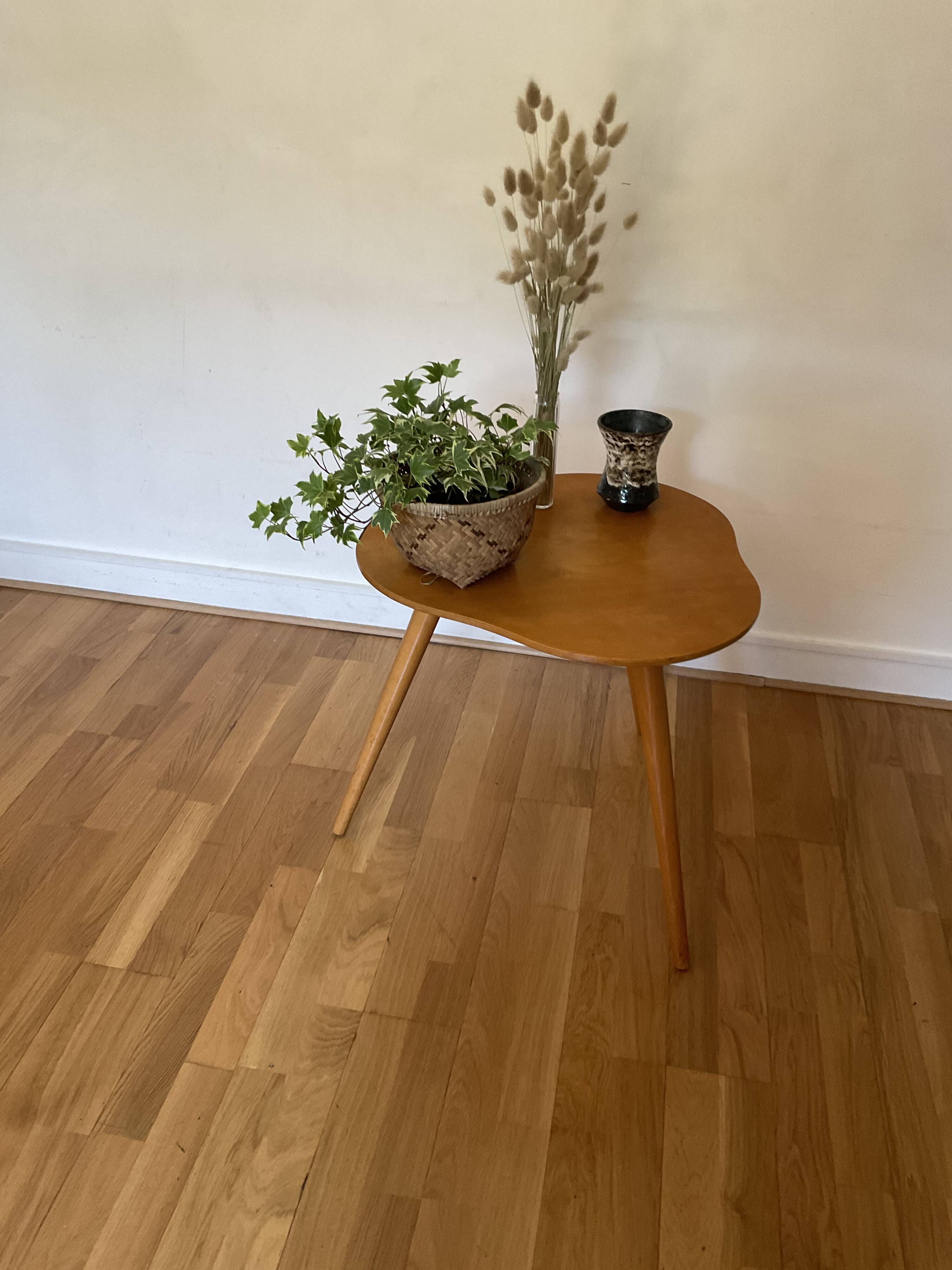 Scandinavian coffee table