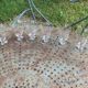 6 clear glass wine glasses with antique chiseled flower pattern