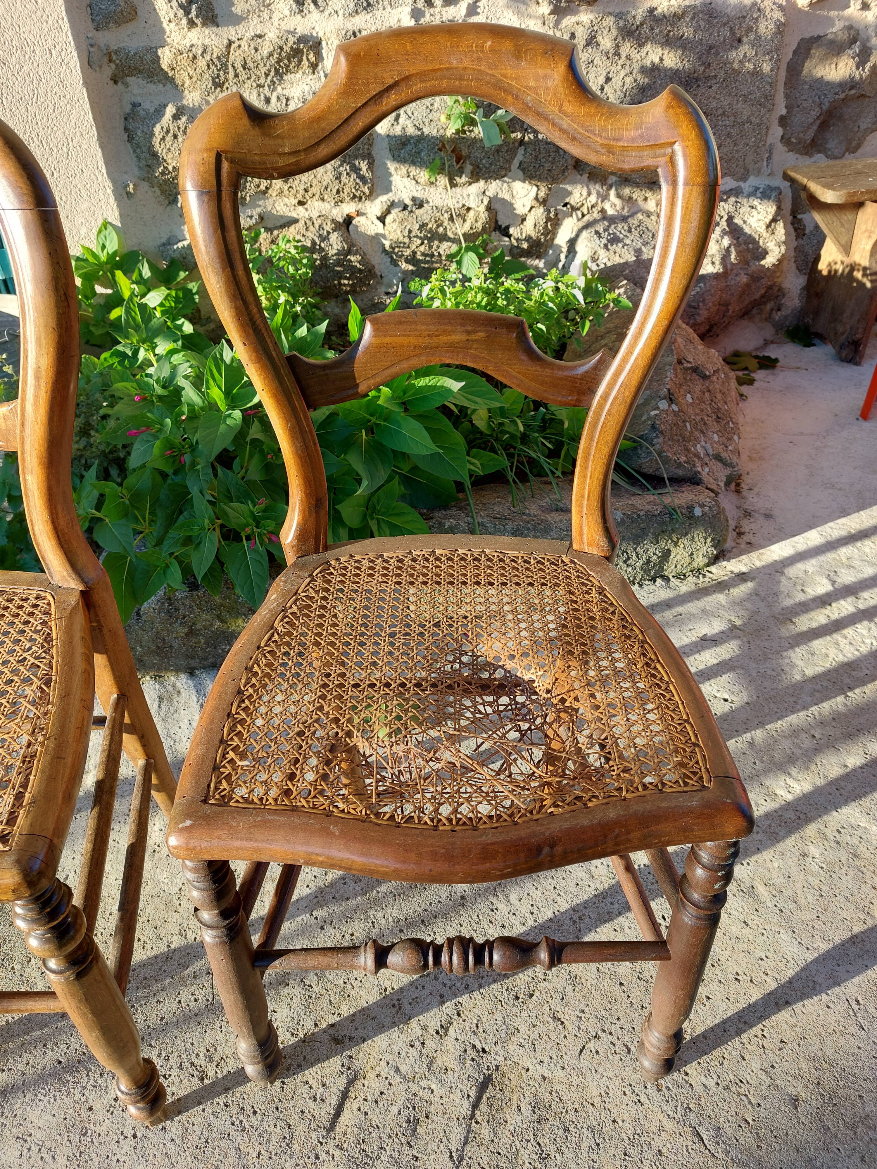 Lot of tanned chairs