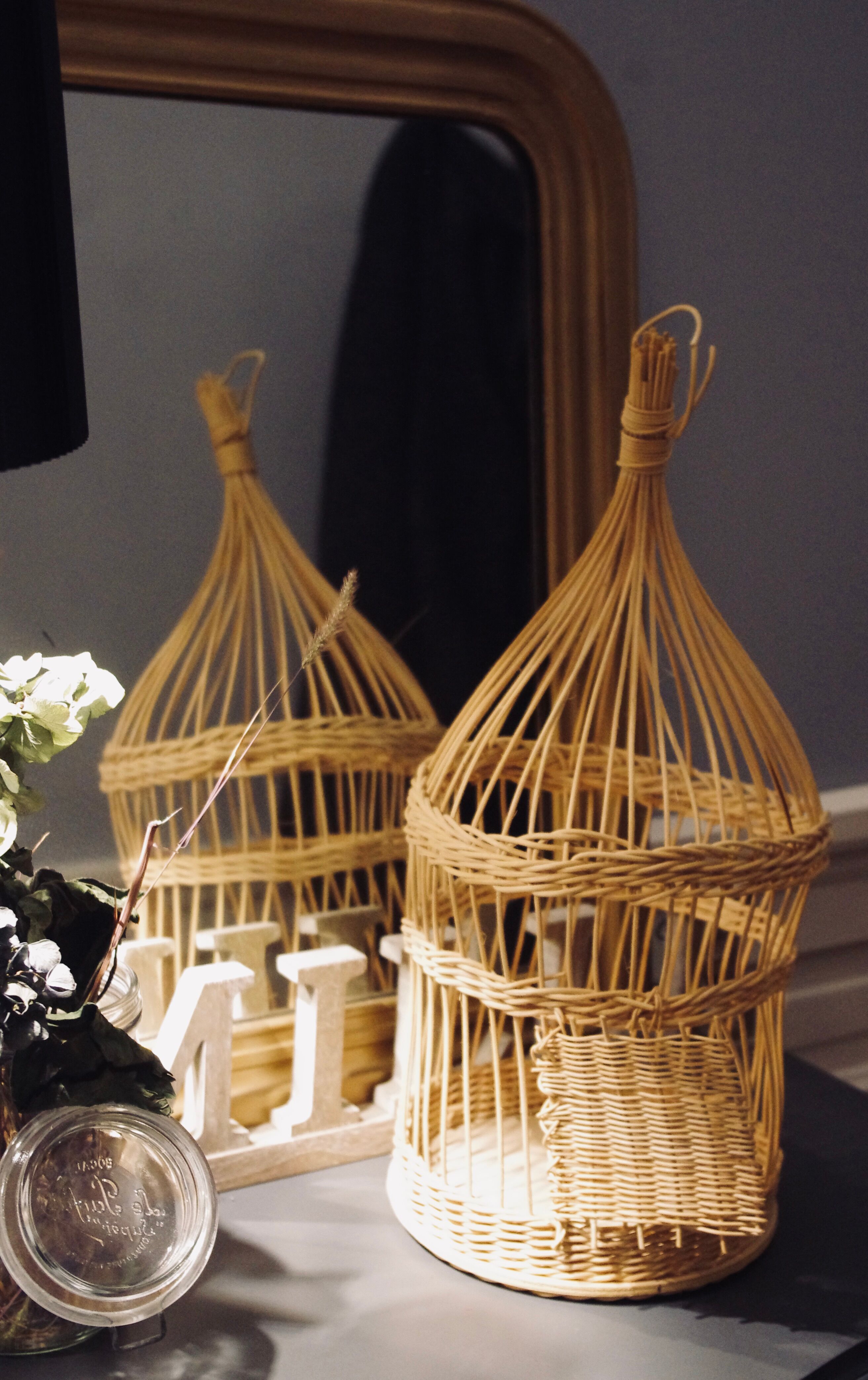Cage rattan and wicker birds