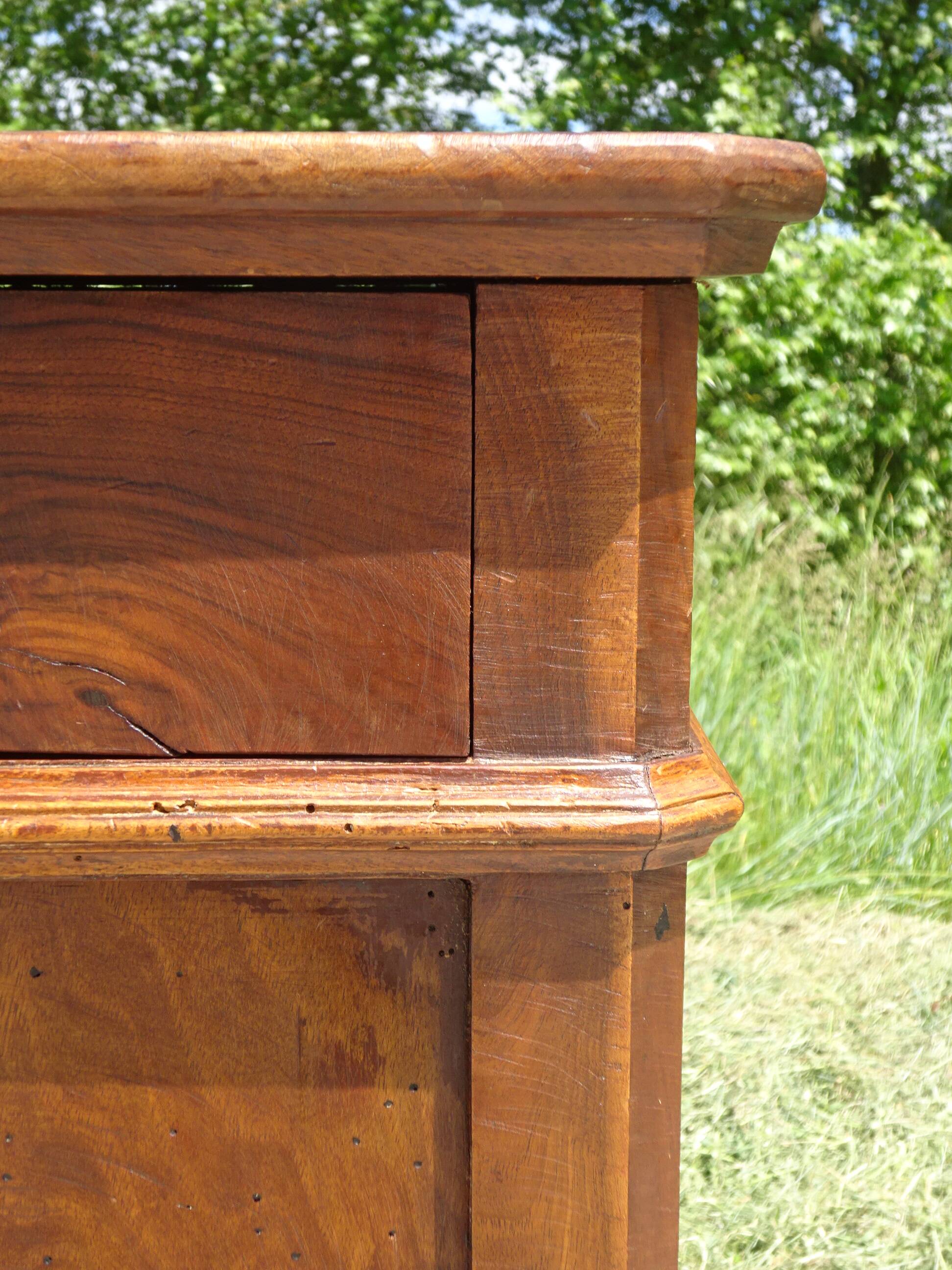 Louis Philippe bedside table in walnut and walnut burl.