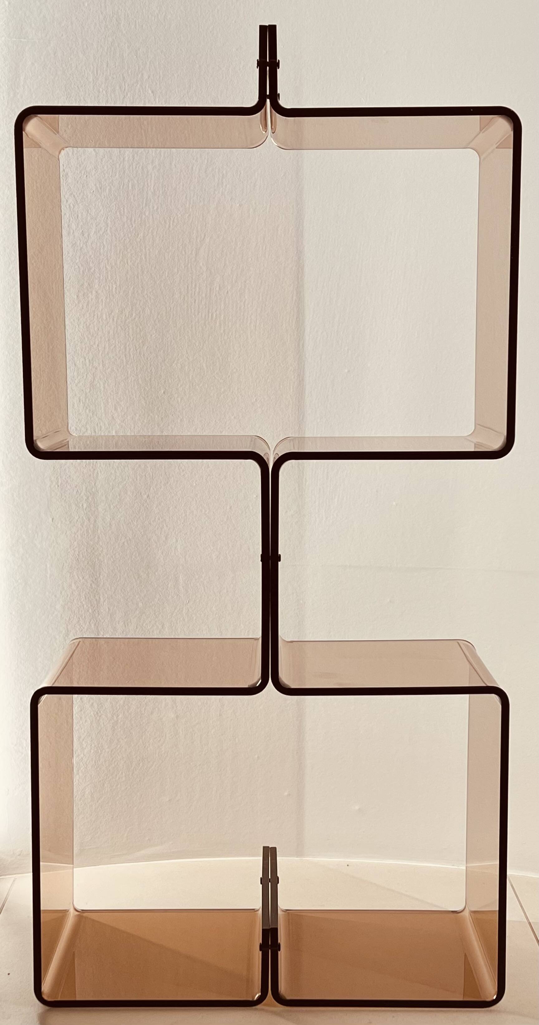 Altuglas bookcase by Michel Dumas, France 1970