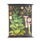 Educational poster 1972 tobacco plant