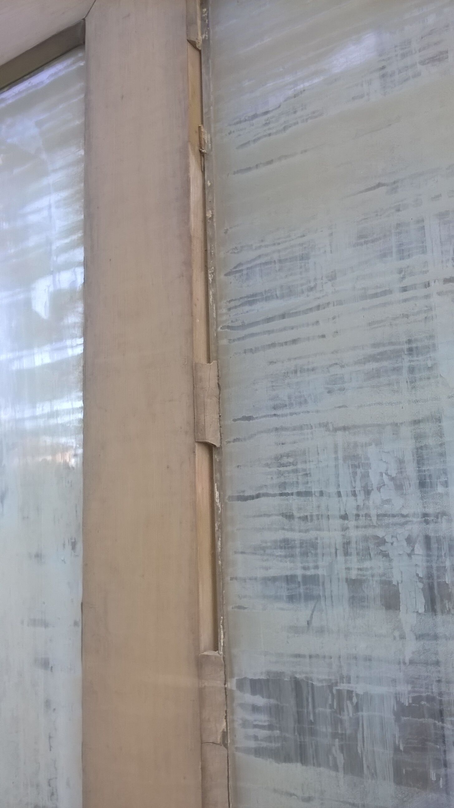 Old glass interior door mint