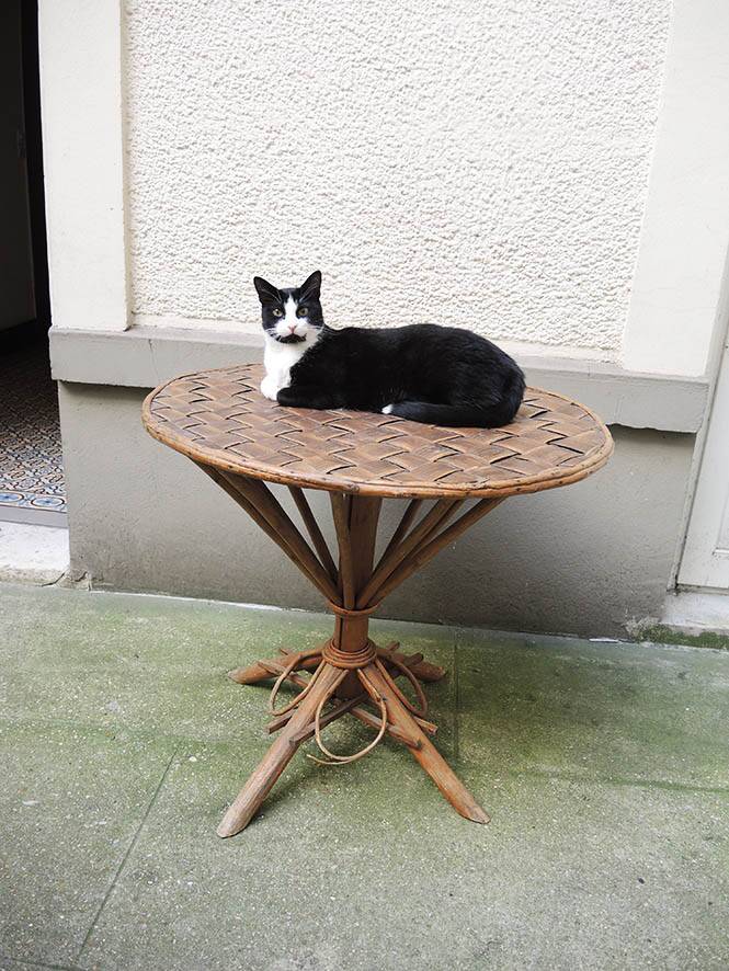 Old Bamboo Table & Woven Palm Leaves