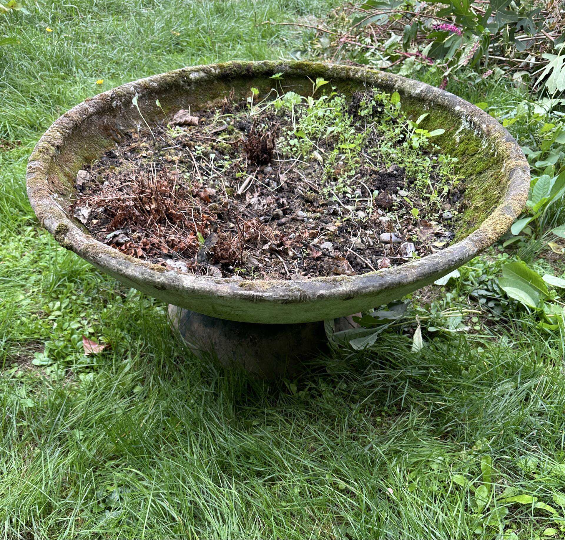 Old planter, pedestal basin in fibrociment by Willy Guillaume.