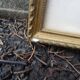 Duo of antique prints framed with canopies