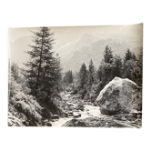 Photo argentique Torrent Montagnes Sapin Bernard Darot Photo Club Nantais