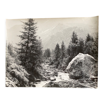 Photo argentique Torrent Montagnes Sapin Bernard Darot Photo Club Nantais