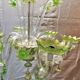 large Venetian Murano glass chandelier from the 1950s