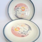 Flat plates Moulin des Loups