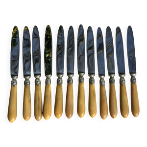 Ensemble de 12 Couteaux - art