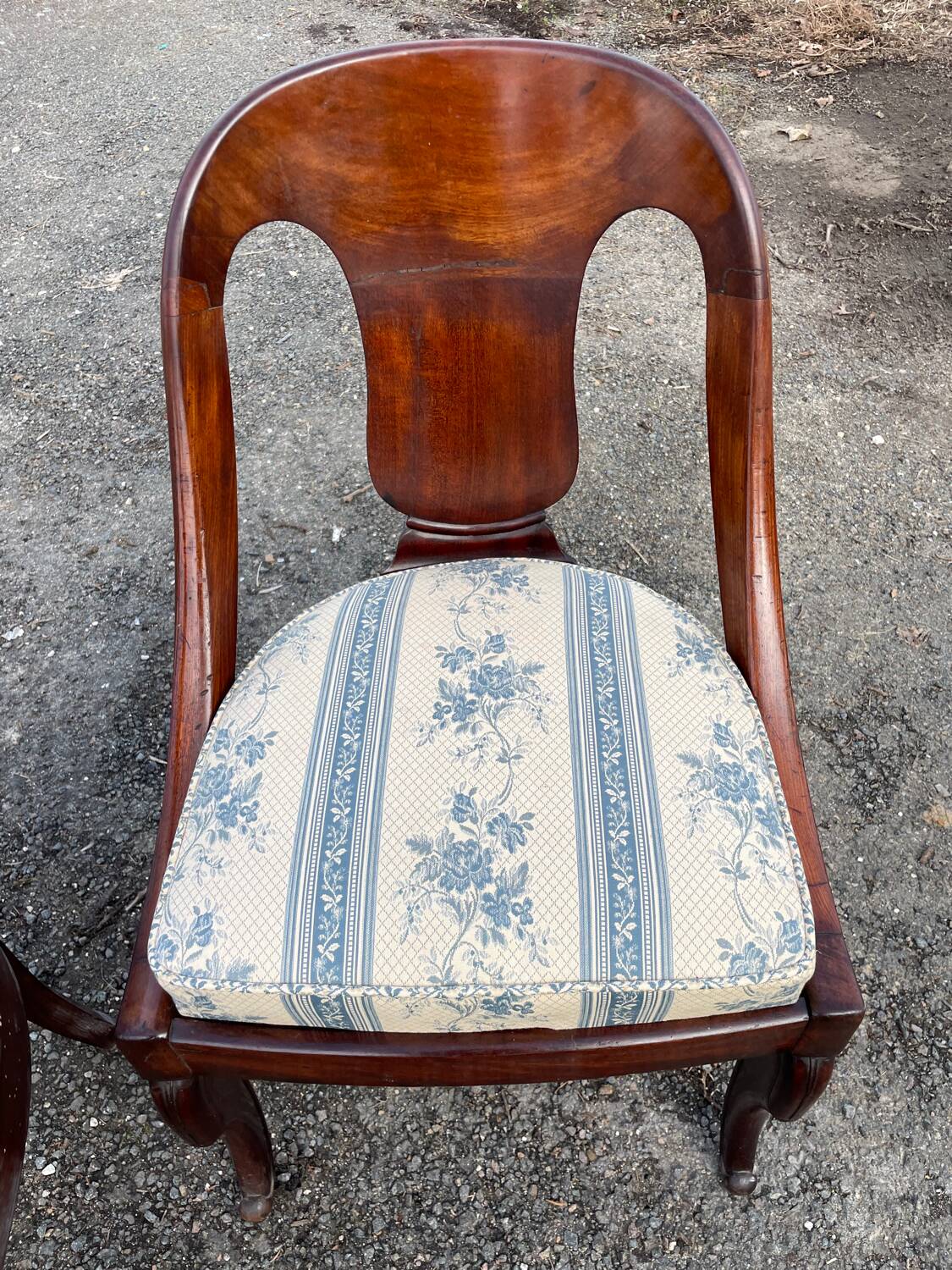 4 Napoleon III chairs