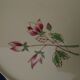 Pie dish in Salins earthenware model Rose Eric diam 30 cm