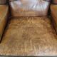 Sheep leather wingback chair finished with black piping