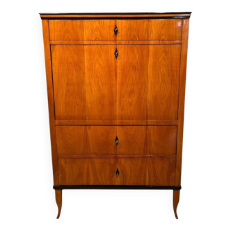 Biedermeier Secretary in Cherry Veneer, 1820s