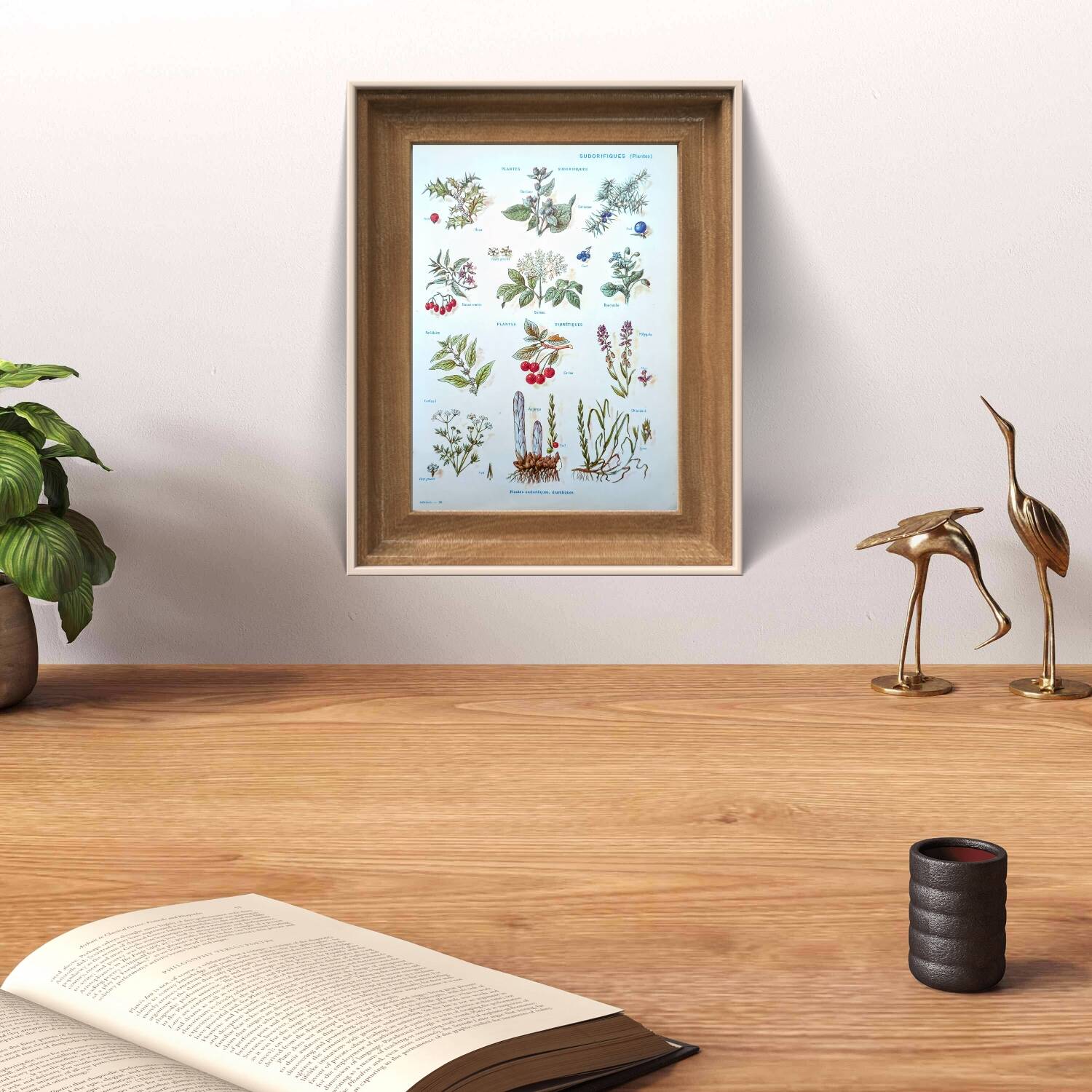 Medical plant board, printed in 1954