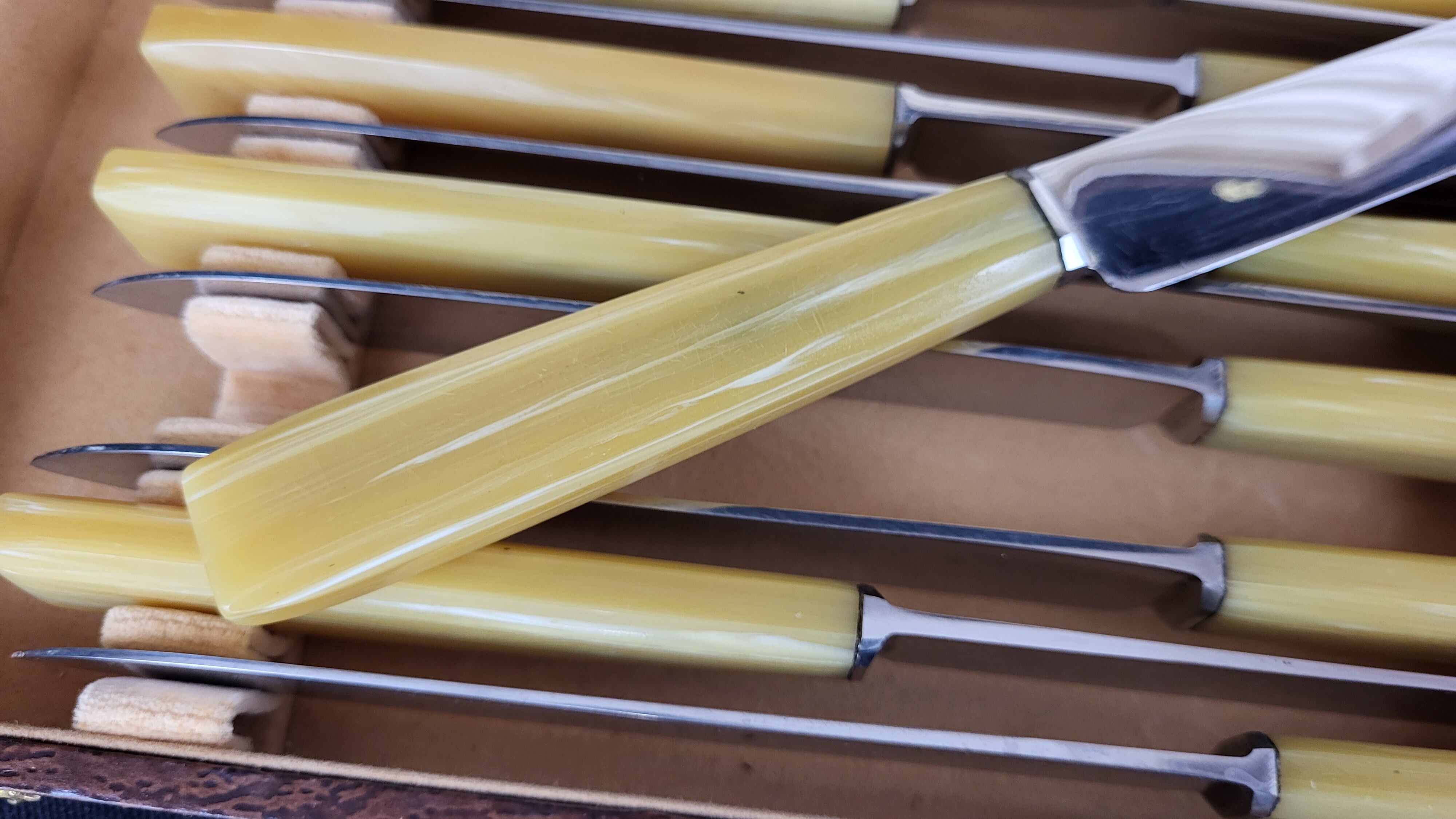 Set of 12 Bakelite stainless steel knives
