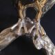 Brass owl