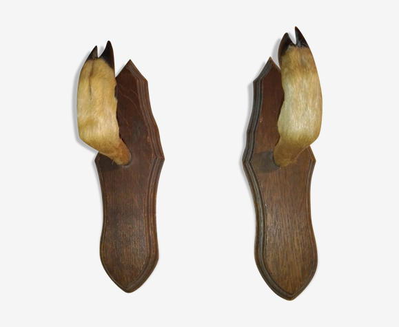 PatèreS taxidermie