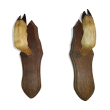 Patère taxidermy