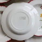 6 vintage deep plates Terre de Fer Salins model Pierrette